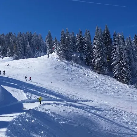 Stella Bianca * Τζαχορίνα