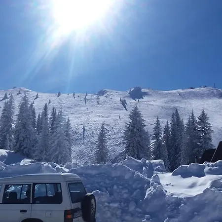 Stella Bianca * Τζαχορίνα